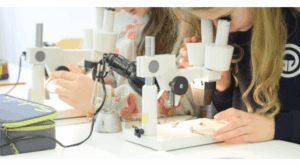 11. Wissenschaftsfestival des Projekts „Gießener Jugendliche forschen“ (GiJufo)