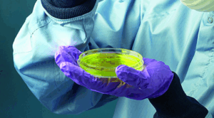 MarBiNa-Nachwuchspreis – Neuer MINT-Forschungspreis