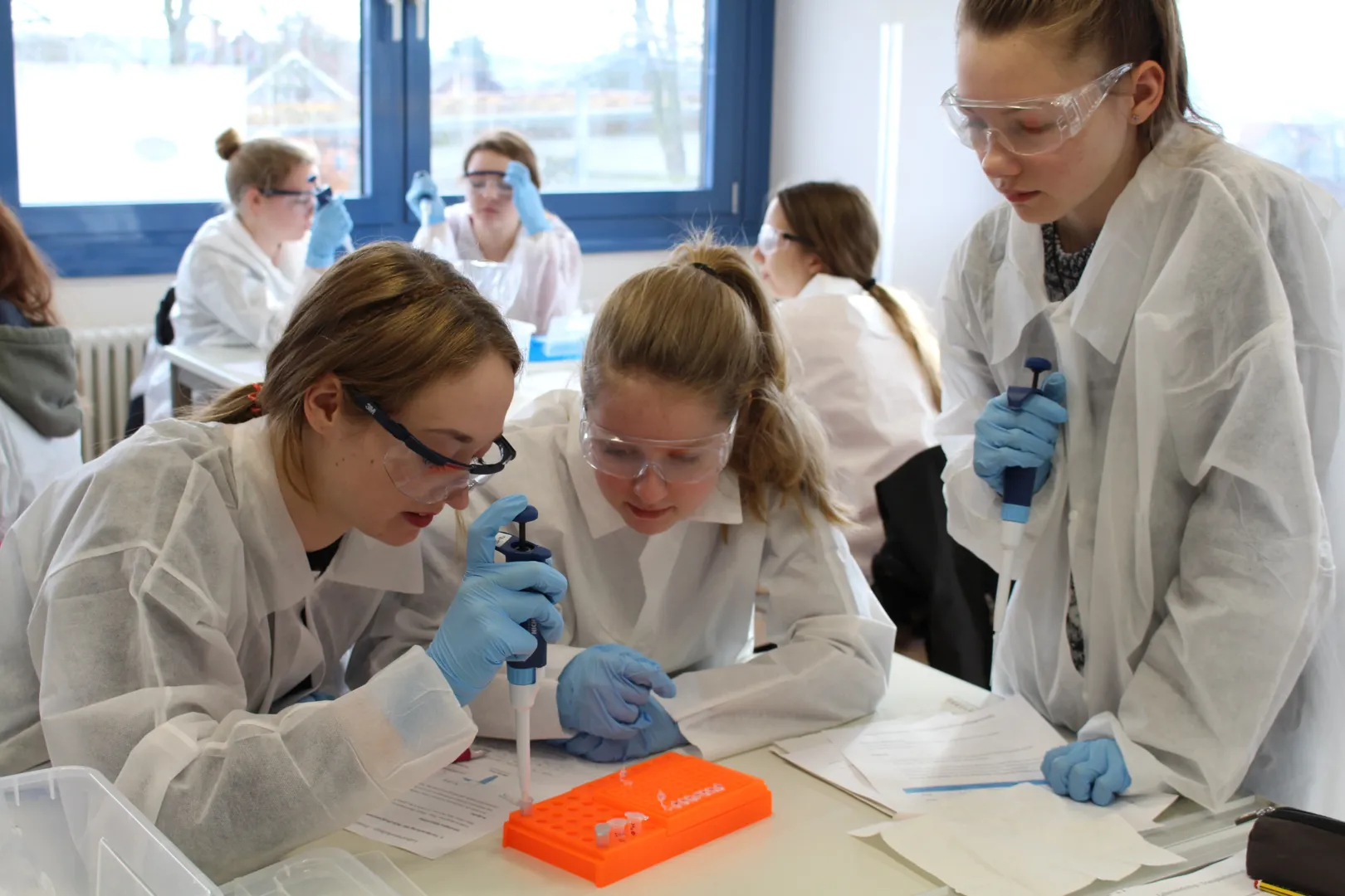 Experimentieren geht über studieren – Berufsorientierung im Bereich der Laborberufe. Foto: DBS Lich