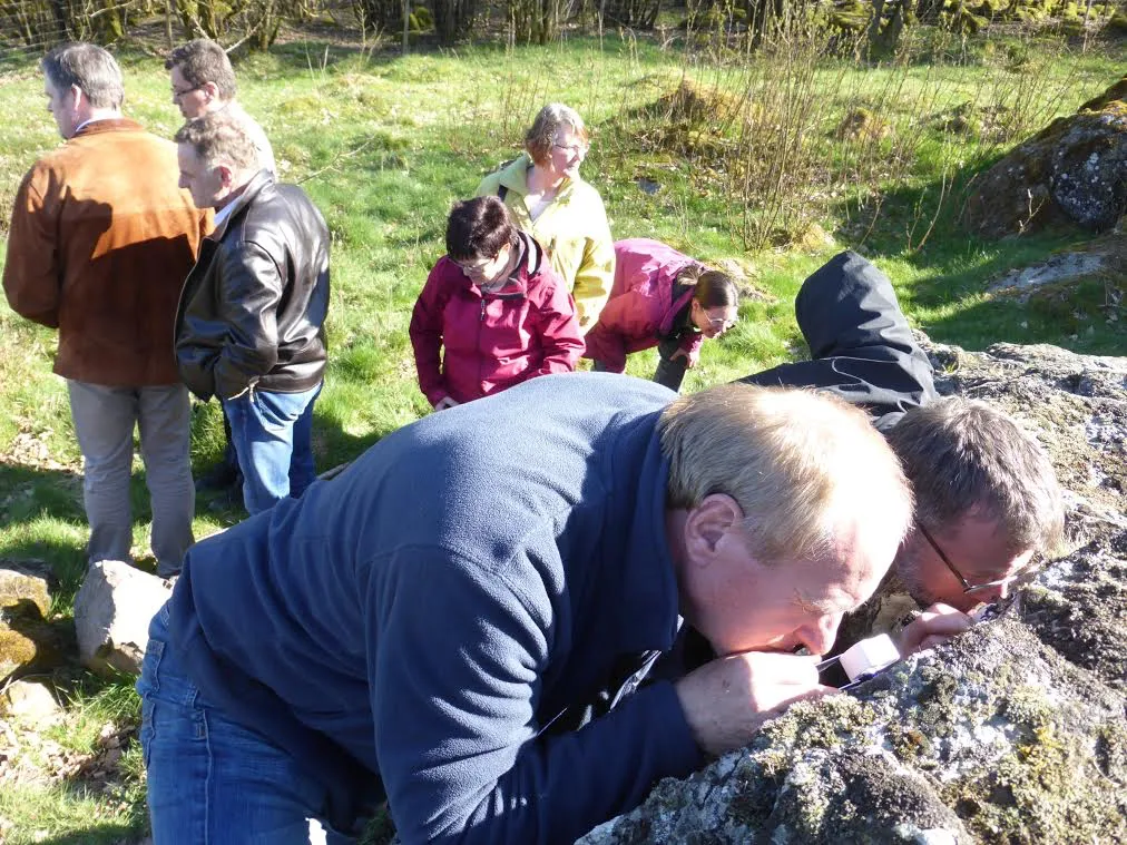 Die Experten nahmen die Flechten unter die Lupe. Foto: M. Schuster, Naturschutzbehörde