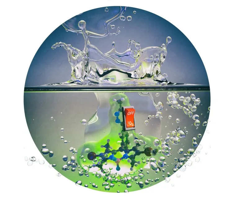 Licht legt den Schalter um: Das Fachmagazin „Angewandte Chemie“ würdigt die Erkenntnisse des Marburger Forschungsteams mit einer Titelgeschichte. (Abbildung: Professor Dr. M. Eugenio Vázquez) 