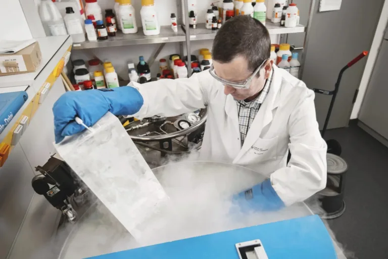 DYRK1B schützt Krebs vor Fresszellen