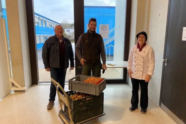 So landen Bio-Lebensmittel öfter auf den Tellern von Schüler*innen