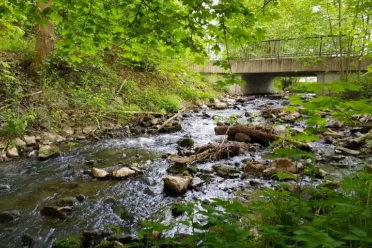 „Umso wichtiger ist es, dieses Netzwerk zu erhalten, zu schützen und zu verbessern“
