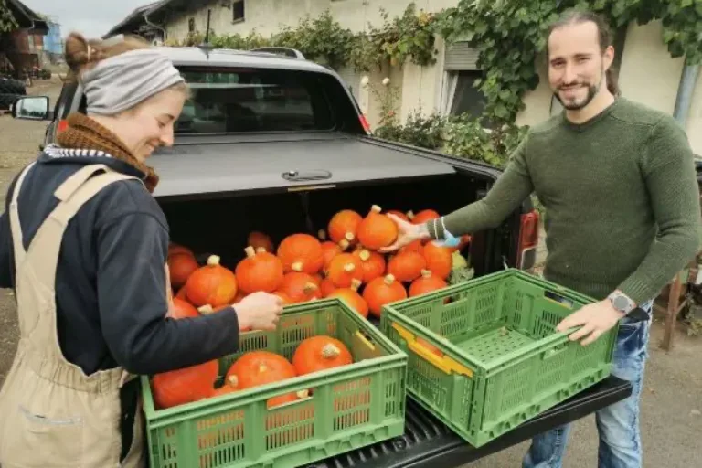 Pilotprojekt Nah.Land.Küche bringt bioregionales Essen in die mittelhessischen Schulkantinen