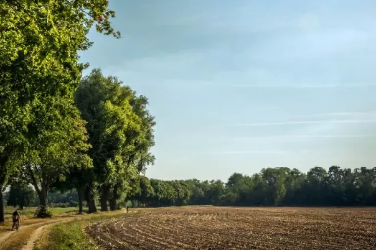 Frisch auf! Wanderrouten und Tipps aus den hessischen Regionen
