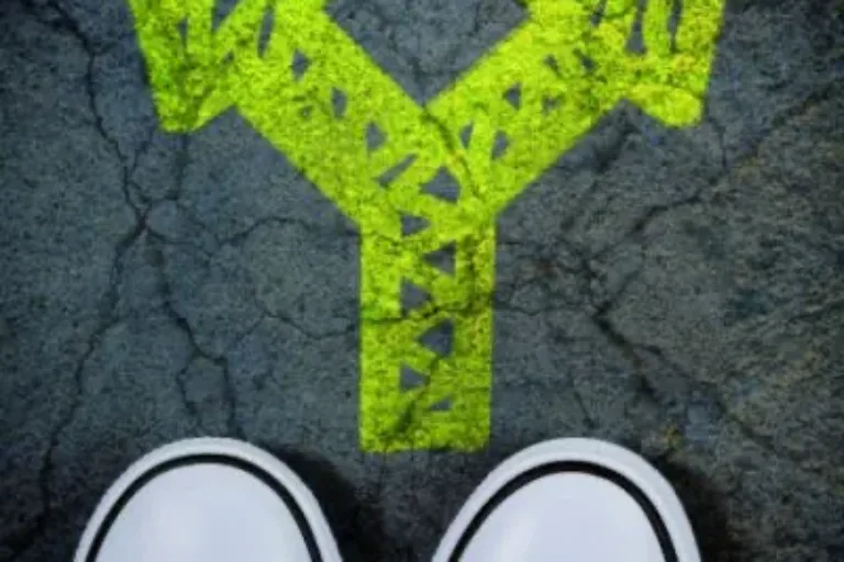 Studium oder Ausbildung – oder beides?