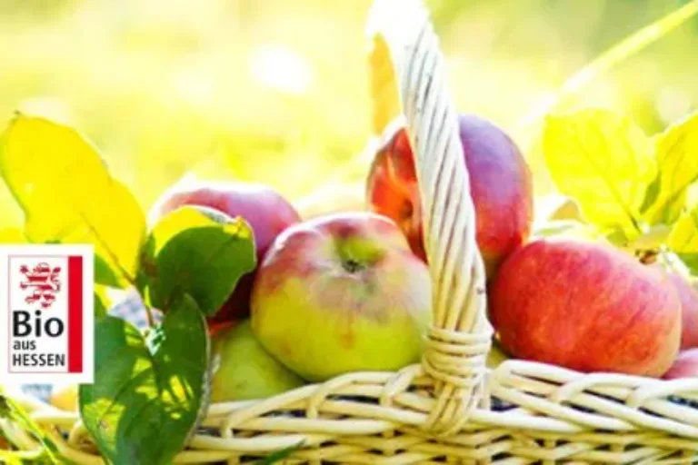 „Wir lieben (H)Essen“: Blogger-Reise der Hessen Agentur mit kulinarischen Entdeckungen