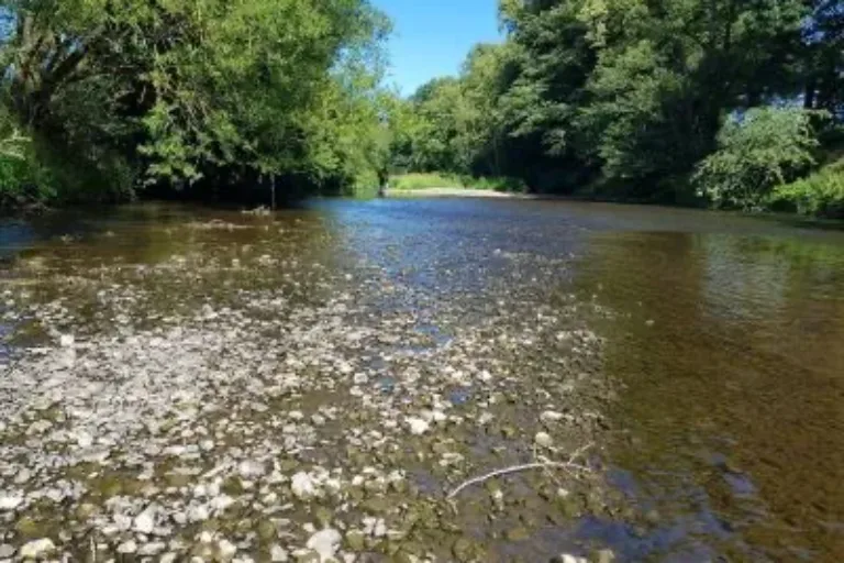 Regierungspräsidium Gießen hat Situation der heimischen Gewässer im Blick