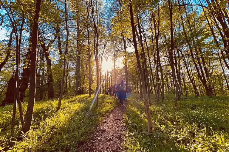 Mittelhessische Newcomer lernen Region bei „sinnlicher Wanderung“ kennen