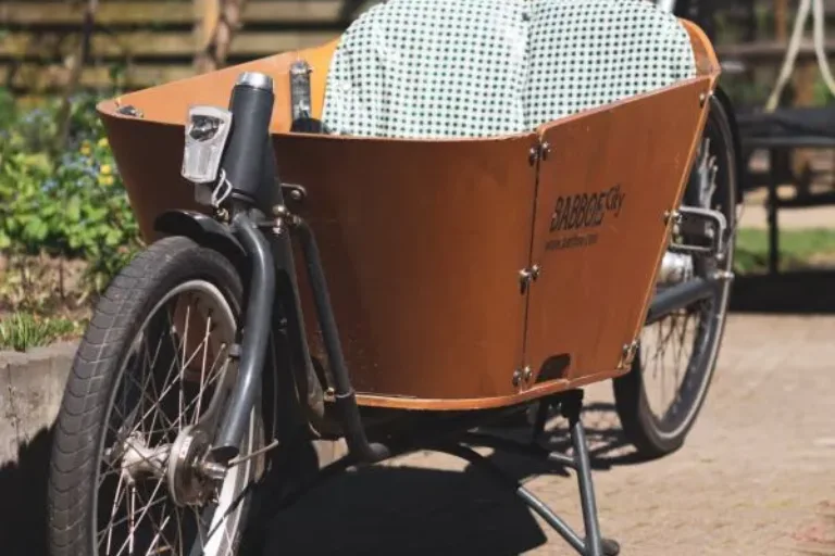 E-Lastenrad: Von der Bühne in die Berge