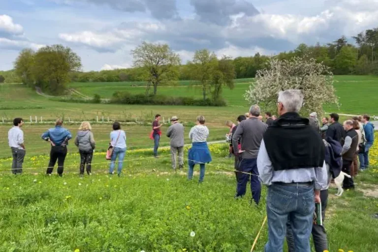Forum Ökolandbau: Feldbegehung in den Agroforstsystemen in Villmar