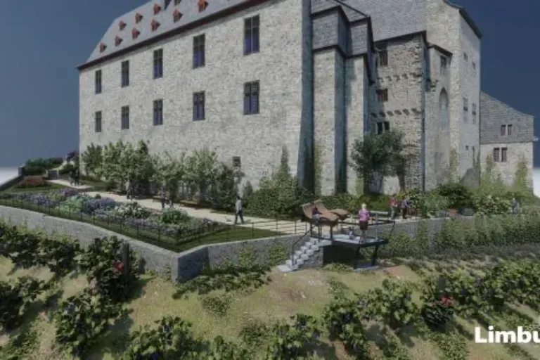 Weinbau am Limburger Schlossberg