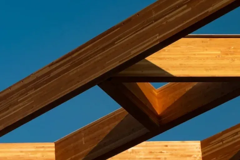 Bioökonomie – Forschung für mehr Nachhaltigkeit im Bausektor