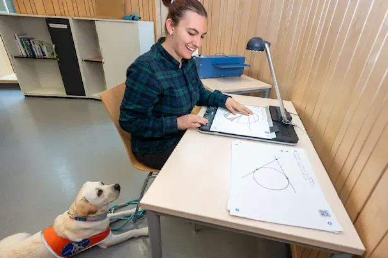 Grafiken zum Ertasten erleichtern Studium für Blinde und Sehbehinderte