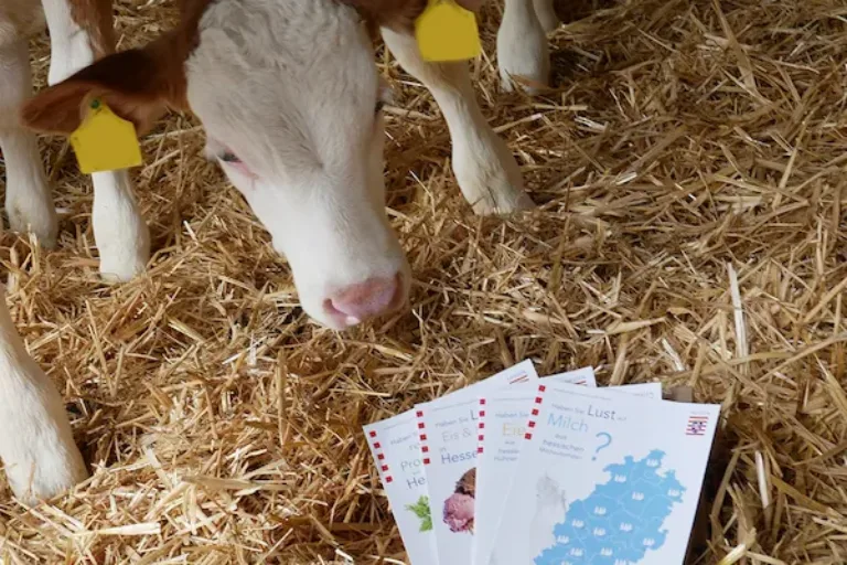 Wo gibt es Milch, Eier oder Eis direkt vom Bauernhof?