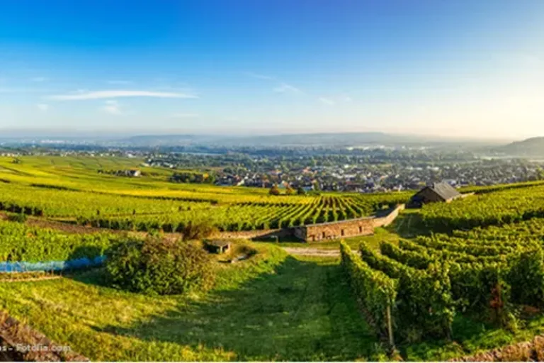 Schotten als Tourismusort anerkannt