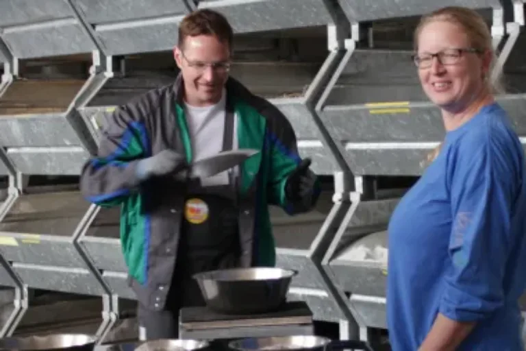 Wie Lehrer in Mittelhessen ein Praktikum machen können